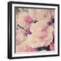 Pink Blossoms I-Sarah Gardner-Framed Photo