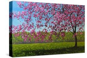 Pink Blossoms IX-Patty Baker-Stretched Canvas