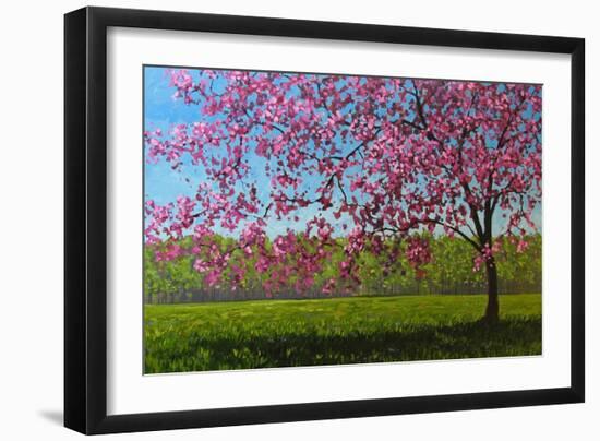 Pink Blossoms IX-Patty Baker-Framed Art Print