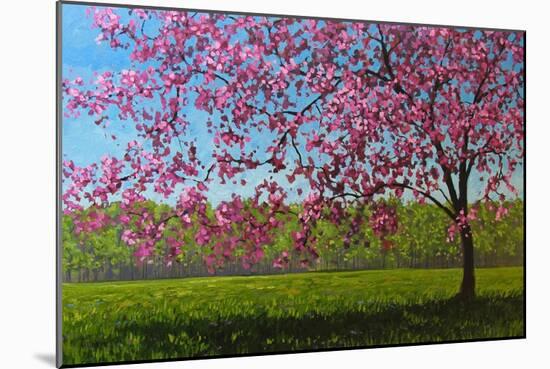 Pink Blossoms IX-Patty Baker-Mounted Art Print