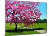 Pink Blossoms on a Summer Day-Patty Baker-Mounted Art Print