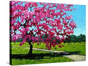 Pink Blossoms on a Summer Day-Patty Baker-Stretched Canvas