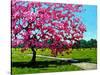 Pink Blossoms on a Summer Day-Patty Baker-Stretched Canvas