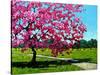 Pink Blossoms on a Summer Day-Patty Baker-Stretched Canvas