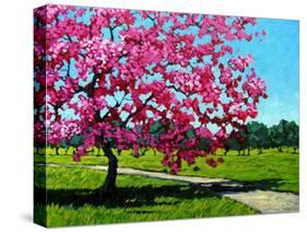 Pink Blossoms on a Summer Day-Patty Baker-Stretched Canvas