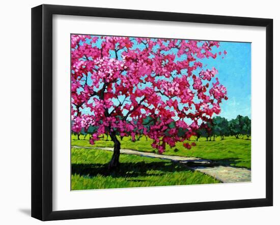 Pink Blossoms on a Summer Day-Patty Baker-Framed Art Print