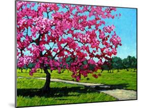 Pink Blossoms on a Summer Day-Patty Baker-Mounted Art Print