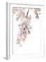 Pink Blossoms on White II-Kate Bennett-Framed Art Print