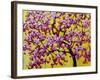 Pink Blossoms On Yellow Sky VII-Patty Baker-Framed Art Print