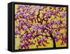 Pink Blossoms On Yellow Sky VII-Patty Baker-Framed Stretched Canvas