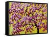 Pink Blossoms On Yellow Sky VII-Patty Baker-Framed Stretched Canvas