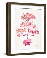 Pink Bonsai-Cat Coquillette-Framed Giclee Print