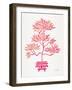 Pink Bonsai-Cat Coquillette-Framed Giclee Print