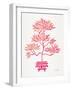 Pink Bonsai-Cat Coquillette-Framed Giclee Print