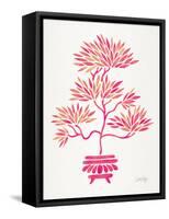 Pink Bonsai-Cat Coquillette-Framed Stretched Canvas