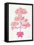 Pink Bonsai-Cat Coquillette-Framed Stretched Canvas