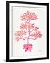 Pink Bonsai-Cat Coquillette-Framed Art Print