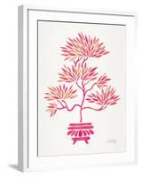 Pink Bonsai-Cat Coquillette-Framed Giclee Print