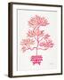 Pink Bonsai-Cat Coquillette-Framed Giclee Print