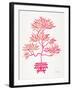 Pink Bonsai-Cat Coquillette-Framed Giclee Print