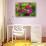 Pink bougainvillea closeup, Moorea, Tahiti, French Polynesia-William Perry-Stretched Canvas displayed on a wall