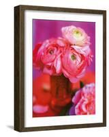 Pink Bouquet-Pernilla Bergdahl-Framed Art Print