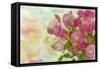 Pink Bouquet-Cora Niele-Framed Stretched Canvas