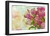 Pink Bouquet-Cora Niele-Framed Giclee Print