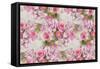 Pink Bouquet-Cora Niele-Framed Stretched Canvas
