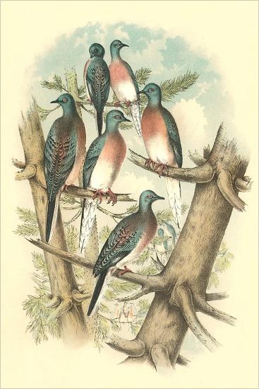 Art Print, , large