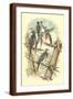 Brown Frame