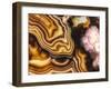 Pink Brown Turritella Agate Pattern-maury75-Framed Photographic Print