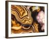 Pink Brown Turritella Agate Pattern-maury75-Framed Photographic Print