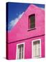 Pink Building on Republique Street, Fort-De-France, Martinique, French Antilles, West Indies-Richard Cummins-Stretched Canvas