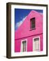 Pink Building on Republique Street, Fort-De-France, Martinique, French Antilles, West Indies-Richard Cummins-Framed Photographic Print