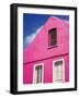 Pink Building on Republique Street, Fort-De-France, Martinique, French Antilles, West Indies-Richard Cummins-Framed Photographic Print