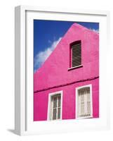 Pink Building on Republique Street, Fort-De-France, Martinique, French Antilles, West Indies-Richard Cummins-Framed Photographic Print