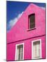 Pink Building on Republique Street, Fort-De-France, Martinique, French Antilles, West Indies-Richard Cummins-Mounted Photographic Print