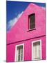 Pink Building on Republique Street, Fort-De-France, Martinique, French Antilles, West Indies-Richard Cummins-Mounted Photographic Print