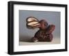 Pink Bunny, 2017,-Peter Jones-Framed Giclee Print