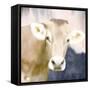 Pink Bush Cow-Kimberly Allen-Framed Stretched Canvas