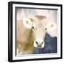 Pink Bush Cow-Kimberly Allen-Framed Art Print