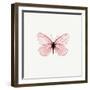 Pink Butterfly-PhotoINC-Framed Premium Photographic Print