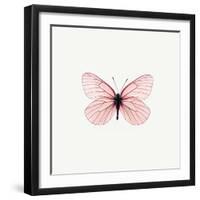 Pink Butterfly-PhotoINC-Framed Premium Photographic Print