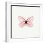 Pink Butterfly-PhotoINC-Framed Premium Photographic Print