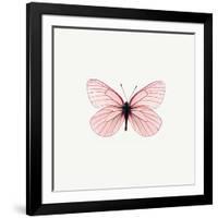 Pink Butterfly-PhotoINC-Framed Photographic Print