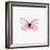 Pink Butterfly-PhotoINC-Framed Photographic Print