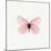 Pink Butterfly-PhotoINC-Mounted Photographic Print
