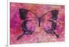 Pink Butterfly-Cora Niele-Framed Giclee Print