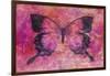 Pink Butterfly-Cora Niele-Framed Giclee Print